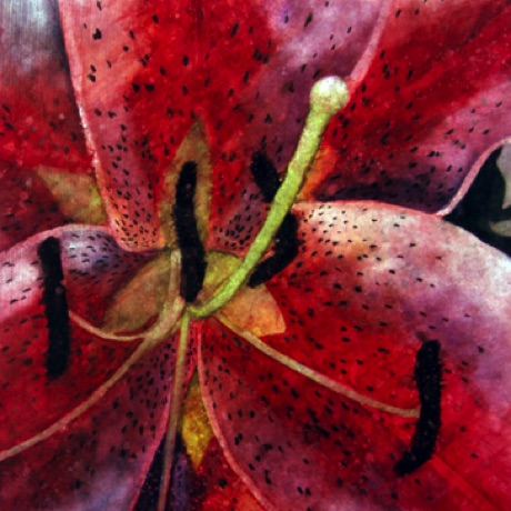 Born to Blush Unseen
30x22
FRAMED Born to Blush Unseen
30x22
FRAMED